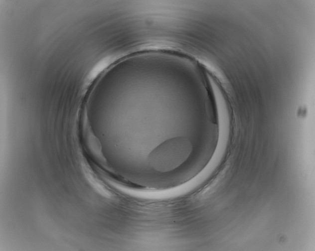 X0000091850842200709051145