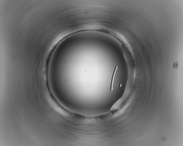 X0000091850843200709051145