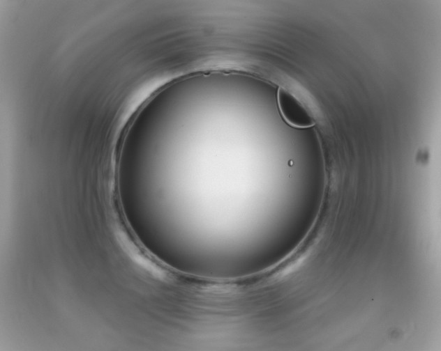 X0000091850844200709051145