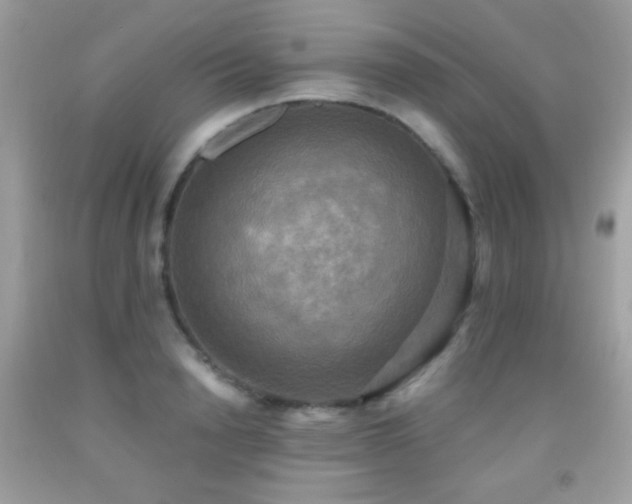 X0000091850846200709051145