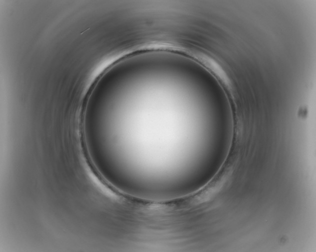 X0000091850847200709051145
