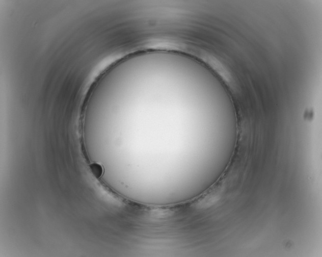 X0000091850848200709051145