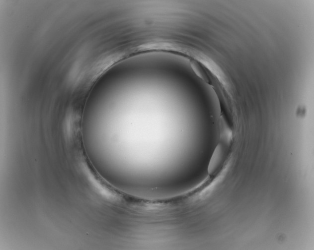 X0000091850849200709051145