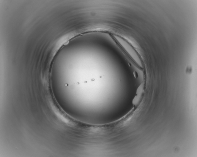 X0000091850850200709051145