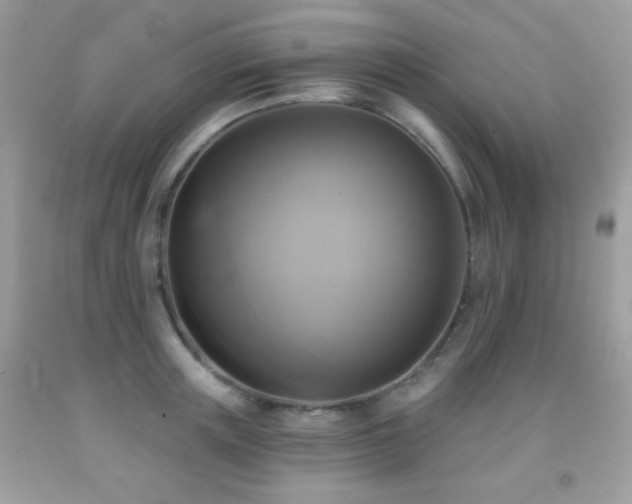 X0000091850851200709051145