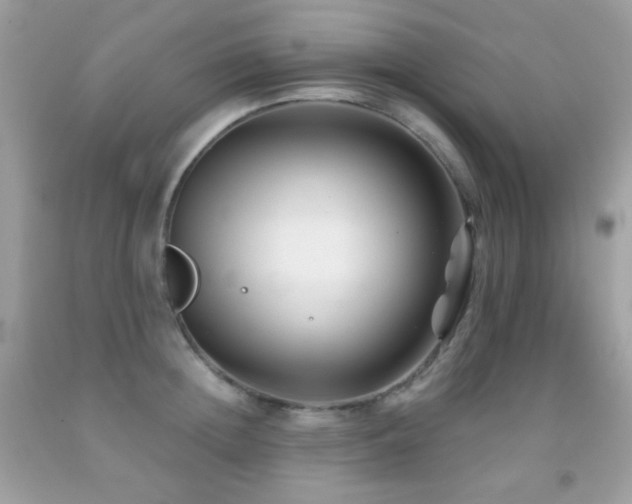 X0000091850852200709051145