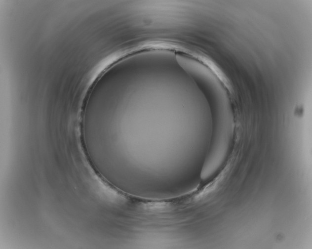 X0000091850853200709051145