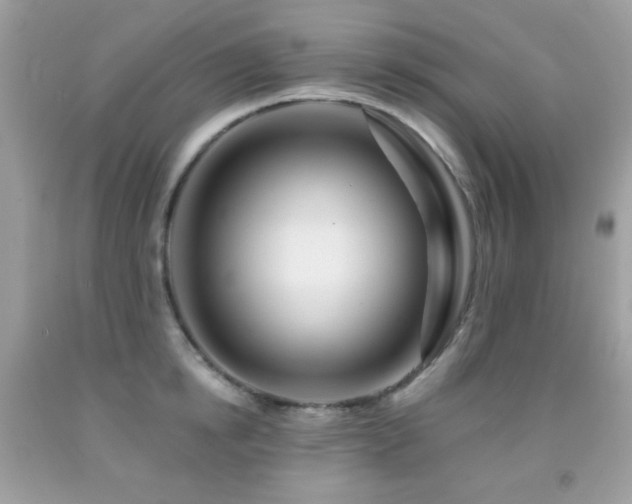X0000091850854200709051145
