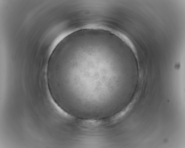 X0000091850855200709051145