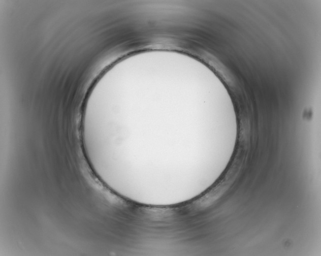 X0000091850856200709051145
