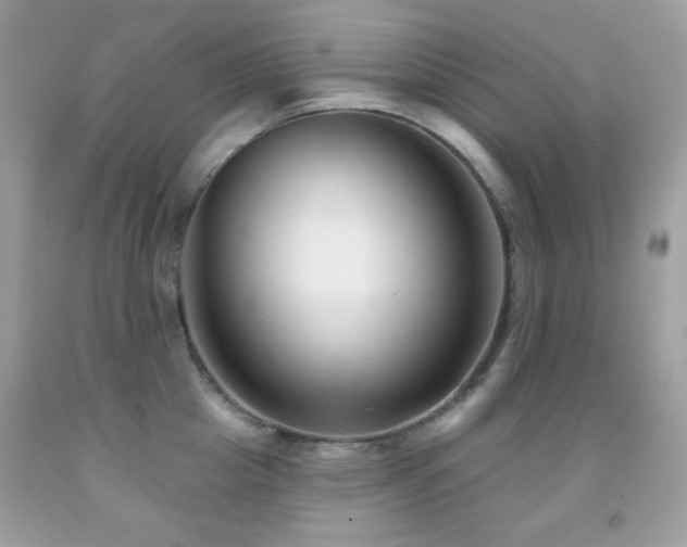 X0000091850857200709051145