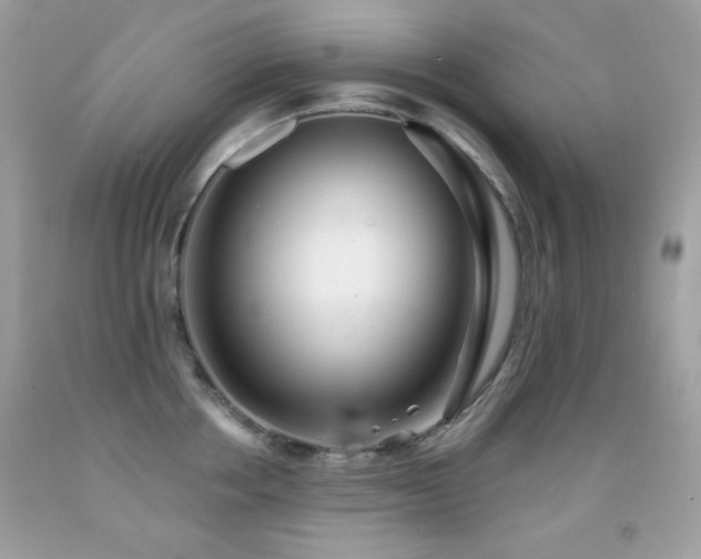 X0000091850858200709051145