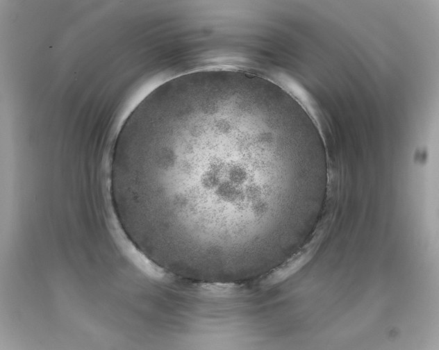 X0000091850859200709051145