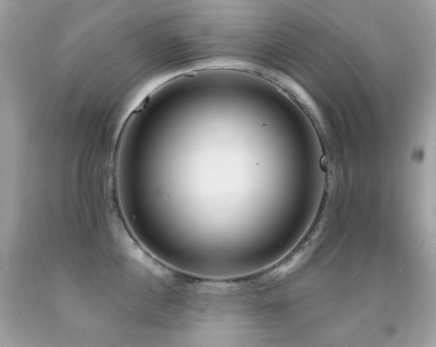 X0000091850860200709051145