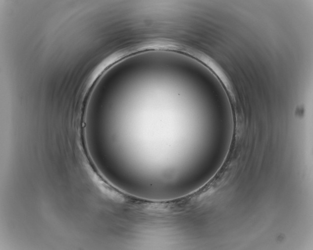 X0000091850861200709051145