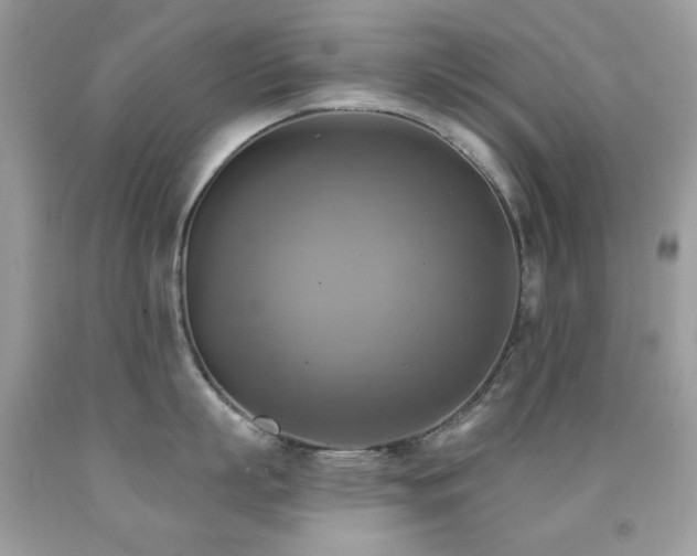 X0000091850863200709051145