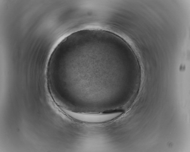 X0000091850864200709051145