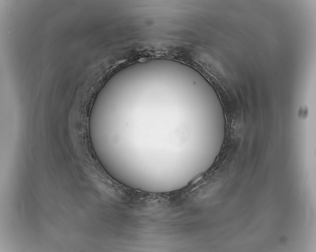 X0000091850865200709051144