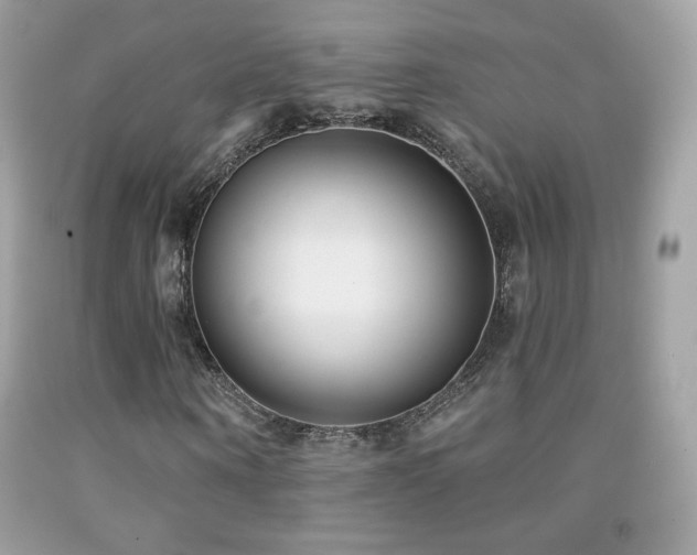 X0000091850866200709051144