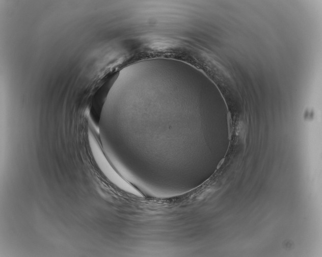 X0000091850868200709051144