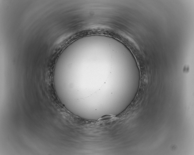 X0000091850869200709051144