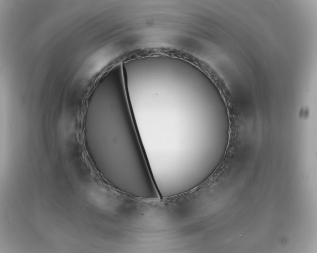 X0000091850871200709051144