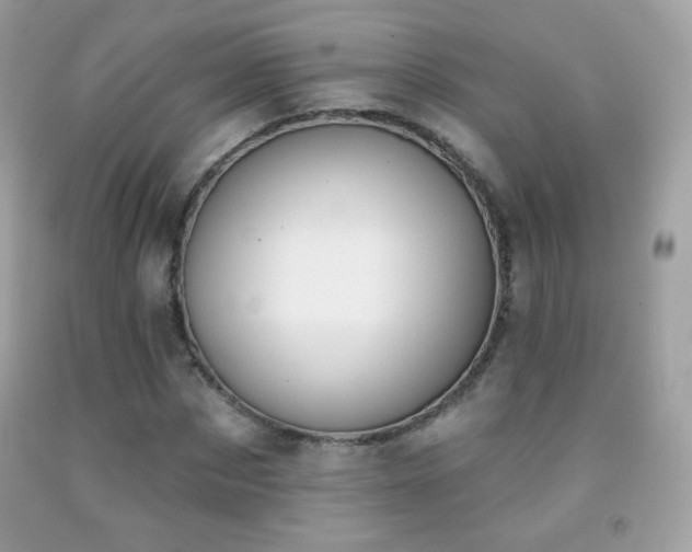 X0000091850873200709051144