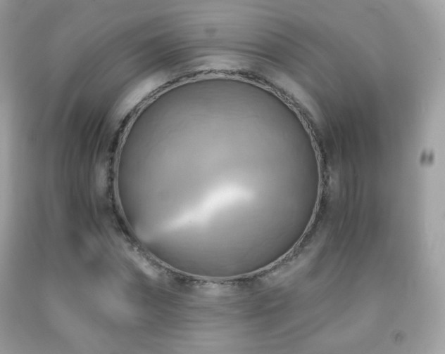 X0000091850874200709051144