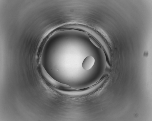 X0000091850876200709051144