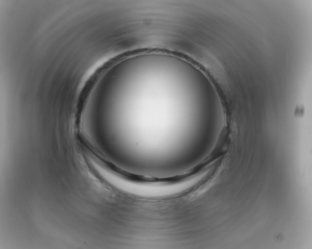 X0000091850880200709051144