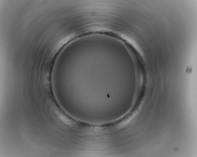 X0000091850881200709051144