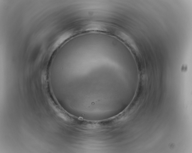 X0000091850882200709051144