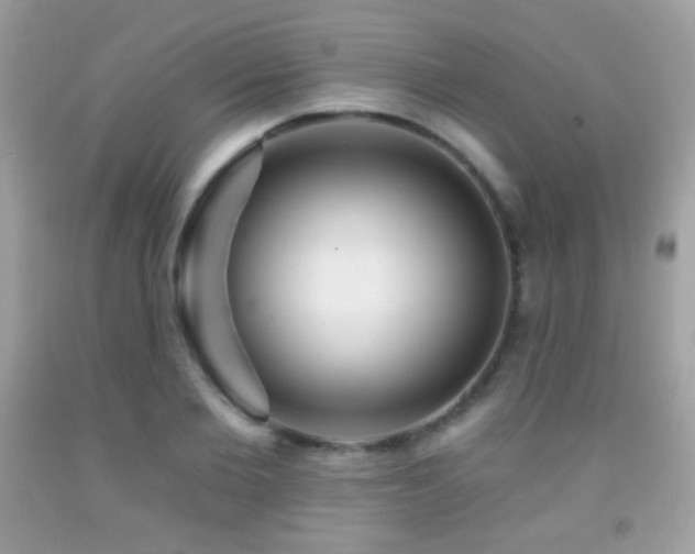 X0000091850885200709051144
