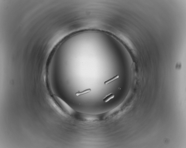 X0000091850888200709051144