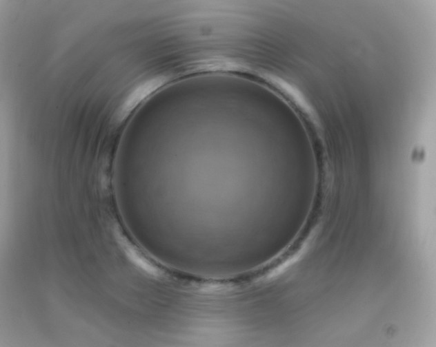 X0000091850889200709051144