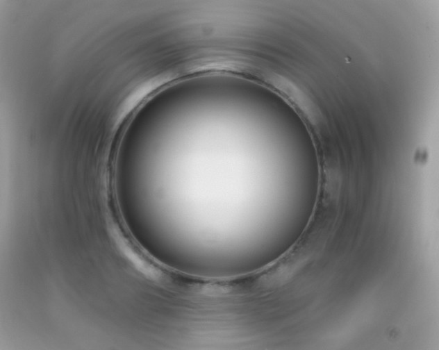 X0000091850890200709051144