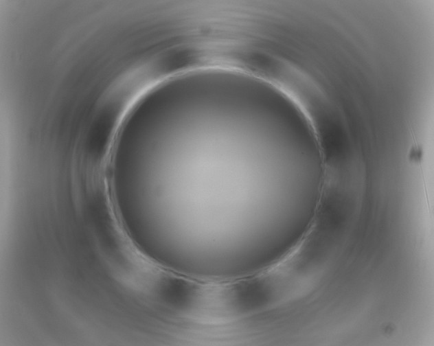 X0000091850891200709051144
