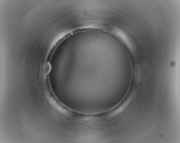 X0000091850892200709051144