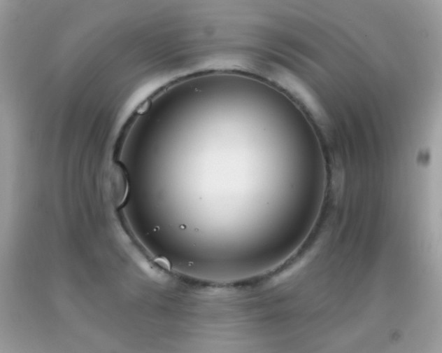 X0000091850894200709051144
