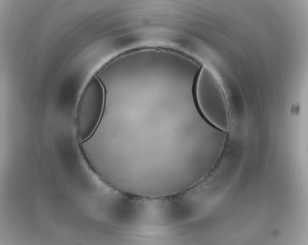 X0000091850895200709051144