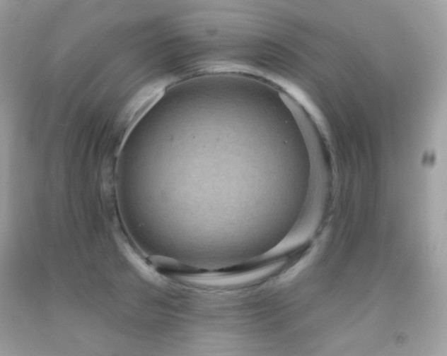 X0000091850897200709051144
