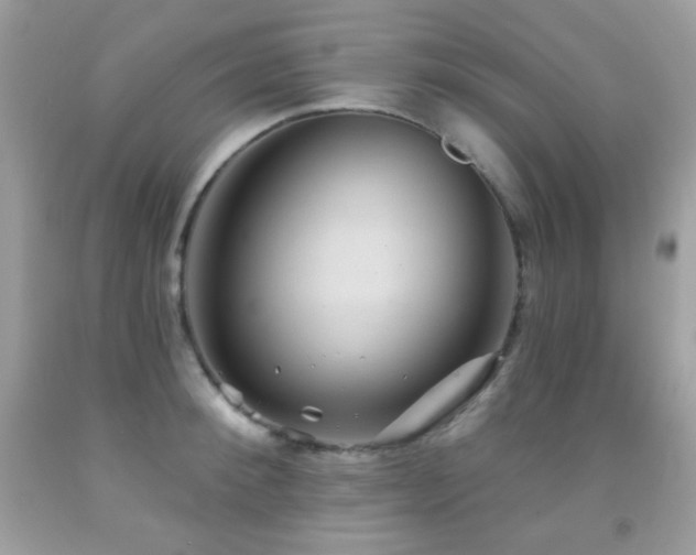 X0000091850900200709051144