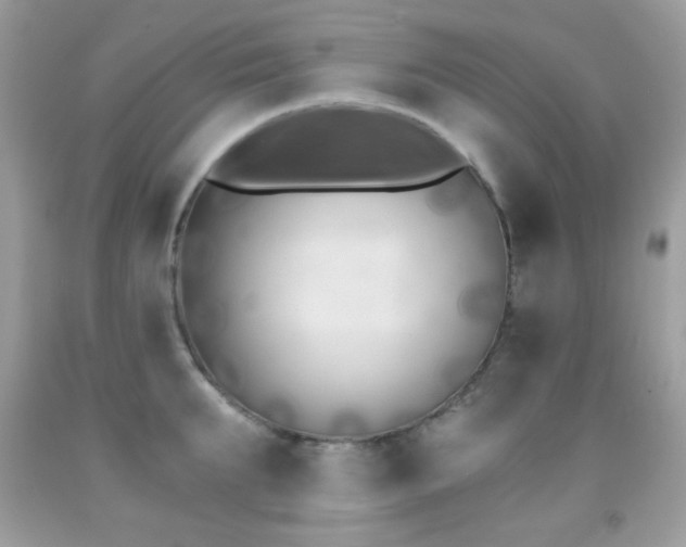 X0000091850903200709051144