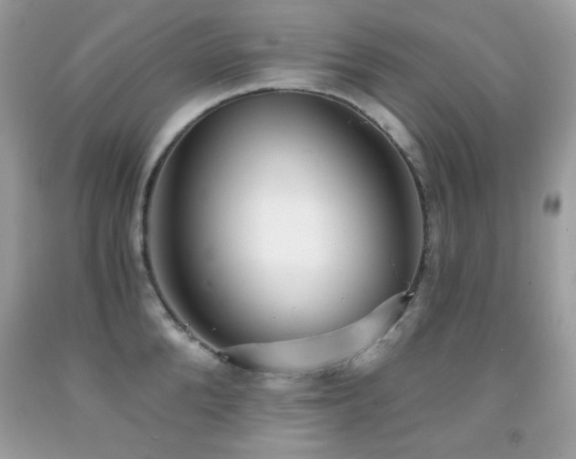 X0000091850904200709051144