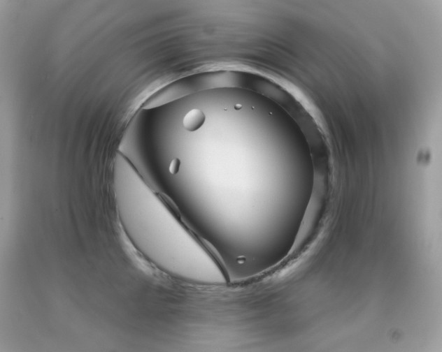 X0000091850905200709051144
