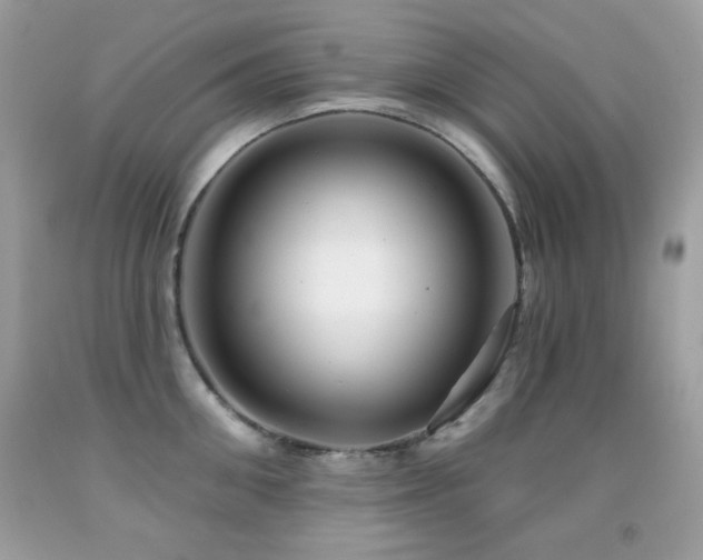 X0000091850906200709051144