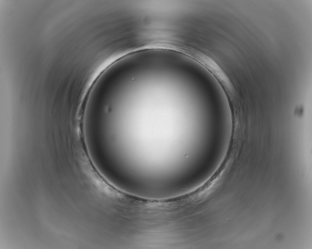 X0000091850908200709051144