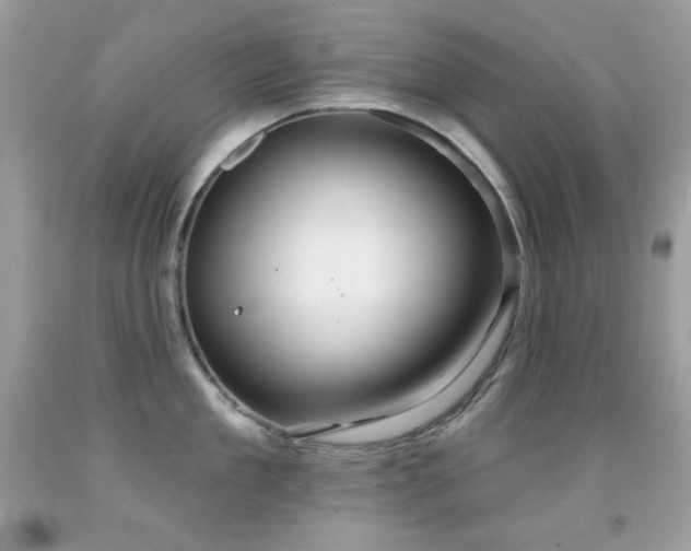 X0000091850909200709051144