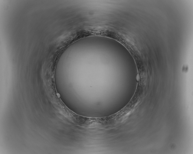 X0000091850913200709051143