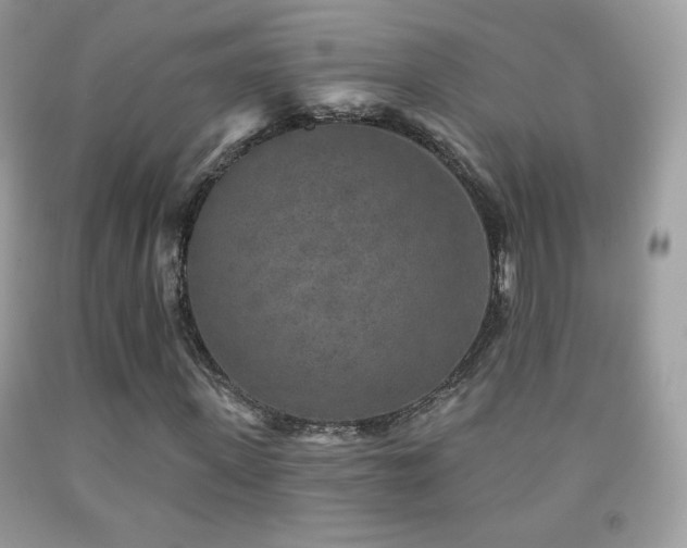 X0000091850915200709051143